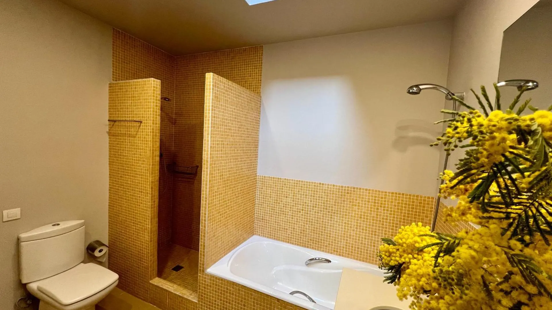Luxury Modernist Penthouse Next Paseo De Gracia Apartment Barcelona